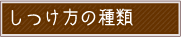 しつけ方の種類