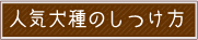 人気犬種のしつけ方